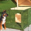 Zielona buda dla psa z otwartym dachem
